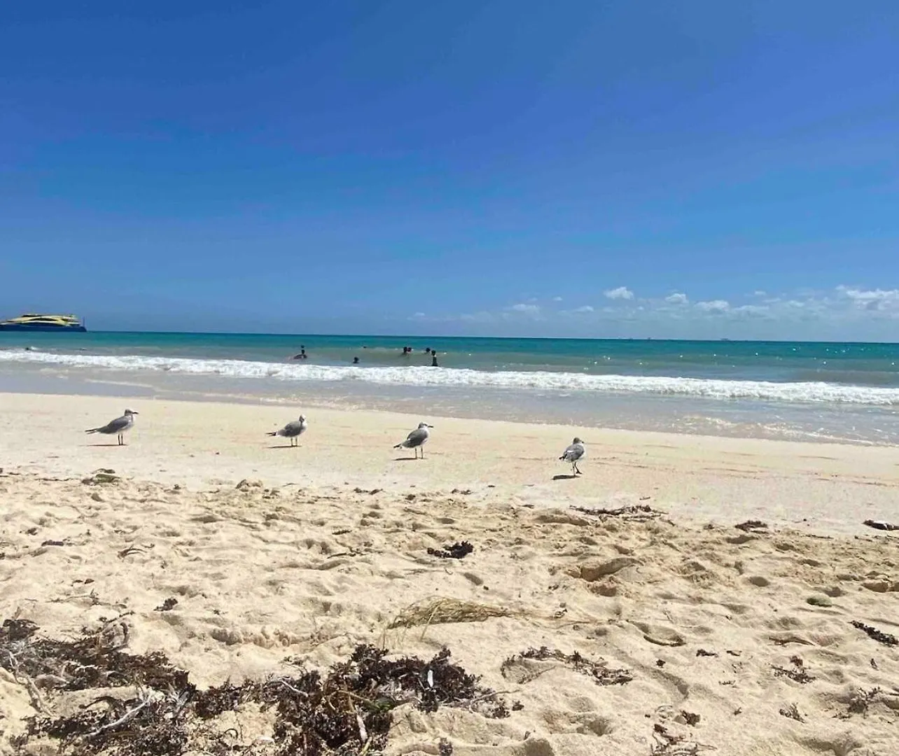 Apartment Playacar Master Suites, 2 Pools, Bbq, Beach 5 Min Playa del Carmen