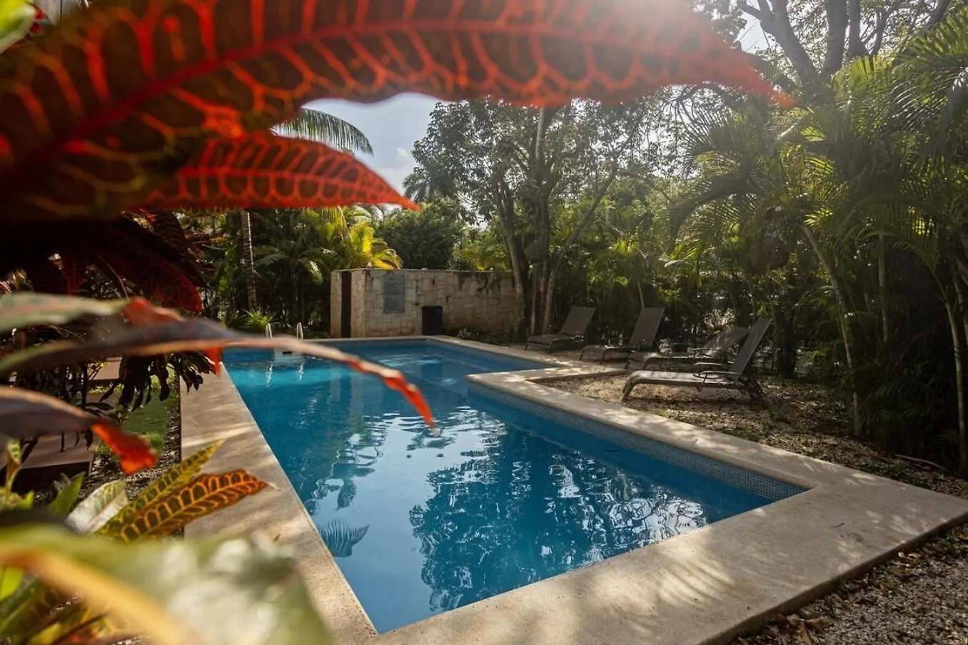 Apartment Playacar Master Suites, 2 Pools, Bbq, Beach 5 Min Playa del Carmen Mexico